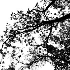 Design Miami/Basel 2010