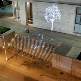 'Tree' by Simon Heijdens, 1994. Projected in Austin, 2014