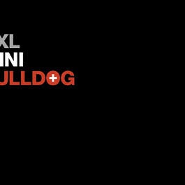 Nicolas Le Moigne participates in XXL Mini Bulldog project, September 2014