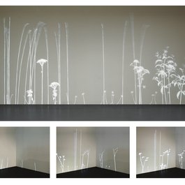 'Lightweeds' by Simon Heijdens wins Silver at the MUSE Awards, June 2013.