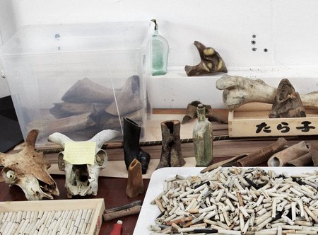 <p>Tidal Ossuary by Julia Lohmann and Gero Grundmann at Gallery Jacqueline Rabun, 2010. Photography by Julia Lohmann</p>