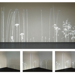 'Lightweeds' by Simon Heijdens to be exhibited at MoMA, Feb. 2014 - Jan. 2015