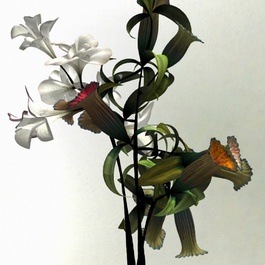 'Flowers' series by Daniel Brown commissioned by the D'Arcy Thompson Zoology Museum, May 2014.