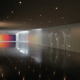 'Lightweeds' by Simon Heijdens at the Israel Museum, Jerusalem