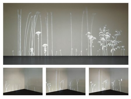 'Lightweeds' by Simon Heijdens