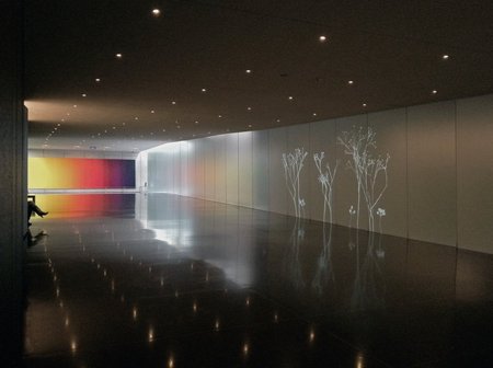 'Lightweeds' by Simon Heijdens at the Israel Museum, Jerusalem